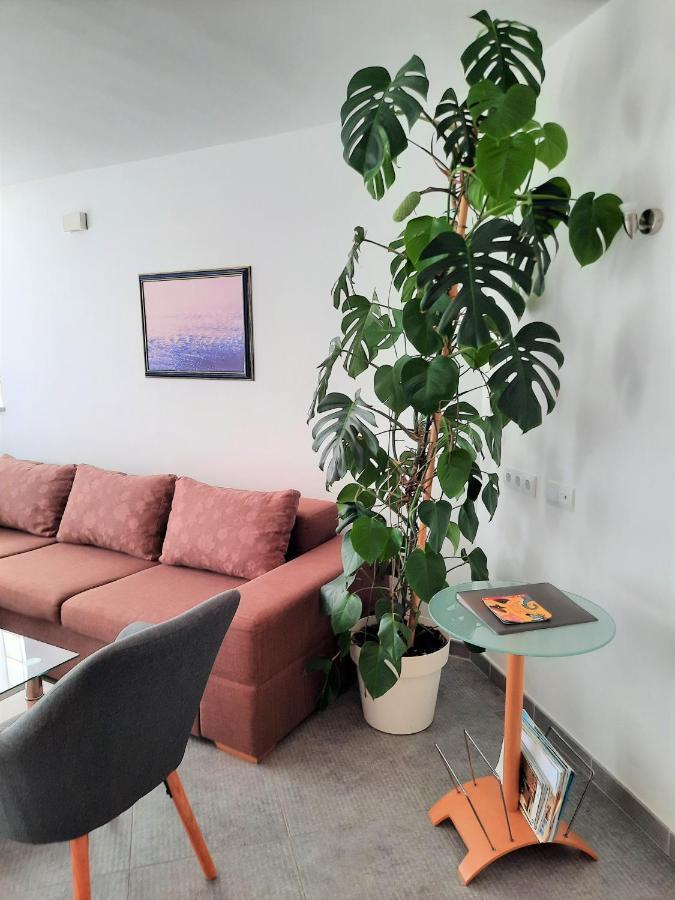 Apartment Mato Barbariga Dış mekan fotoğraf